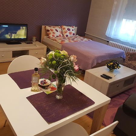 Sara - Modern Apartment In The City Center Novi Sad Luaran gambar