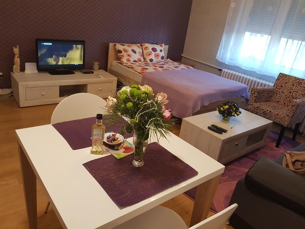 Sara - Modern Apartment In The City Center Novi Sad Luaran gambar